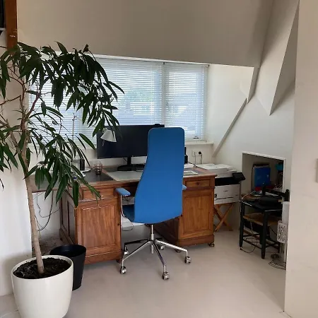 Bollenstreek *